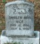  Shirley Ann Vice