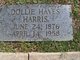  Dorothy “Dollie” <I>Hays</I> Harris