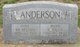  William Nelson Anderson