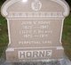  John V Horne