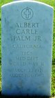  Albert Carle Palm Jr.