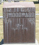  John W Woodward