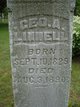  George Augustus Linnell
