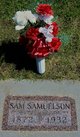  Samuel Samuelson