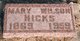  Mary Francis <I>Wilson</I> Hicks