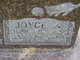  Joyce Ann <I>Backstrom</I> O'Neil