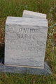 David Harte