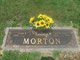  Betty Ann <I>Dawson</I> Morton