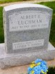  Albert E Luchman