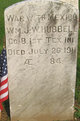  William J. W. Hubbell
