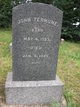 Judge John Stafford Terhune