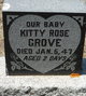  Kitty Rose Grove