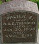  Walter E Trigger
