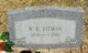  William Edward Pitman