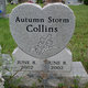 Autumn Storm Collins Photo