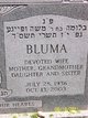  Bluma “Shoshana” <I>Eisenberg</I> Blecher