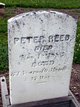  Peter Reed