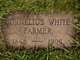  Cornelius White Farmer