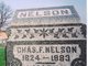  Charles F Nelson