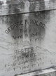  George Peter Wiles