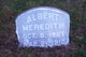 Albert Preston Meredith