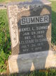 Daniel L. Sumner