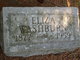  Elizabeth “Eliza” <I>Newson</I> Washburn