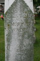  Emory Webster Wade