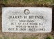 Sgt Harry H. Bittner