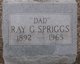  Ray George Spriggs