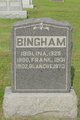  Frank Bingham