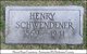 Henry Schwendener