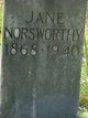  Nancy Jane <I>Hardiman</I> Norsworthy