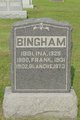  William Franklin Bingham