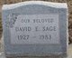  David Edward Sage