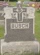  Andrew H. Busch