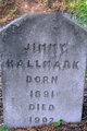  James Jefferson “Jimmy” Hallmark