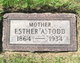  Esther Ann <I>Coppins</I> Todd