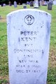  Peter Kent