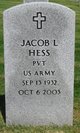  Jacob Lewis Hess
