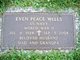  Even Peace Wells