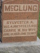  Sylvester A. McClung