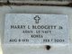  Harry LeRoy “Bud” Blodgett Jr.