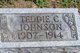  Teddy C. Johnson