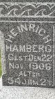  Heinrich Hamberg