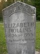  Elizabeth Kathrine <I>Caldwell</I> Rollins