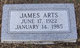  James David Arts