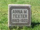  Anna M <I>Johnson</I> Texter