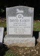  David Kamin