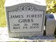  James Forrest Gibbs